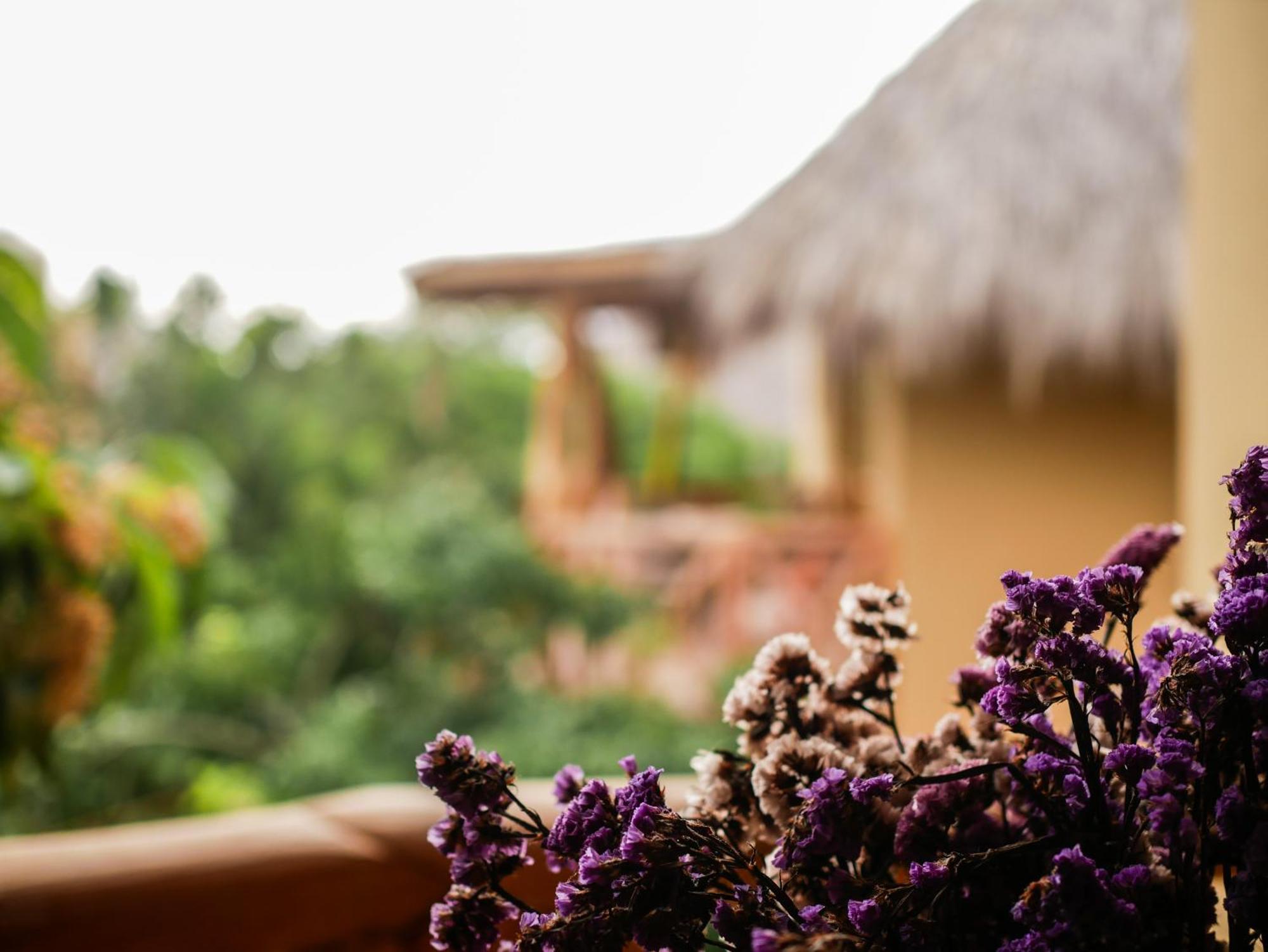 Carpe Diem Casitas & Villas Mazunte Szoba fotó